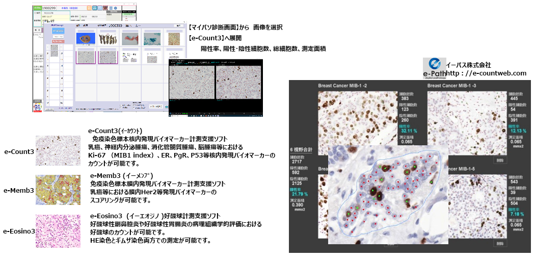 aW{摜̓\tg